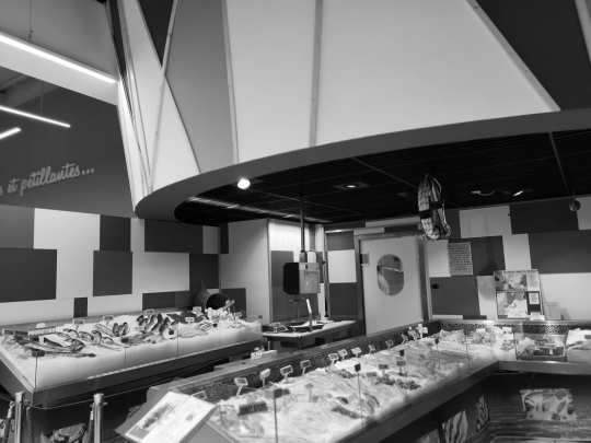 Image du projet Reamenagement Zone Tradition - E.leclerc, architecture d'interieur